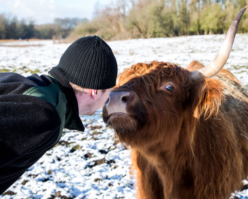 Jacqueline van den Heuvel Fotografie Diverse reportages